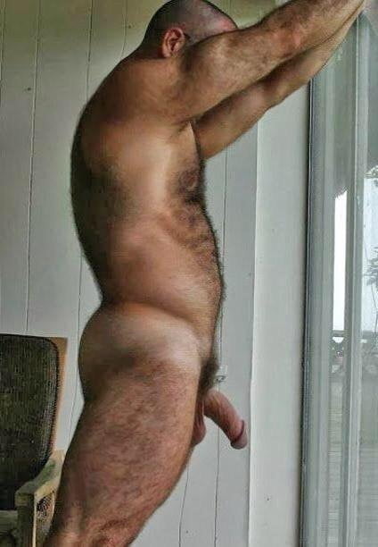 Muscle Bears Hairy Tit S And Belly Pics Free Nude Porn Photos