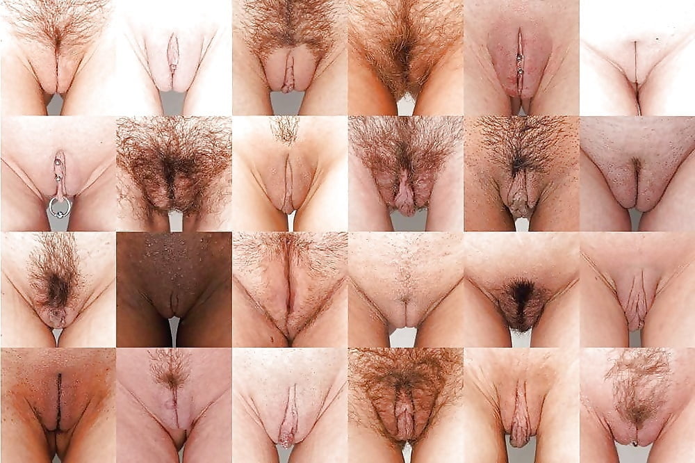 Аргентинские вагины 