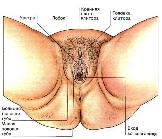 Full load vagina
