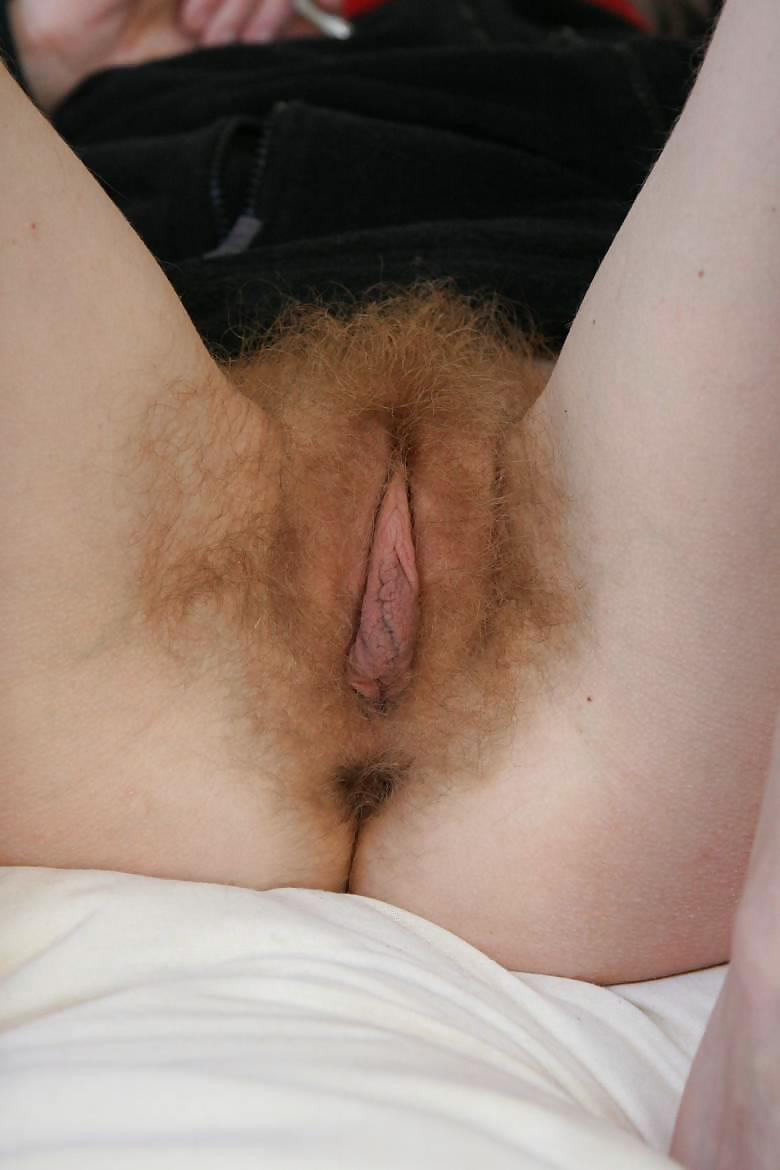 Porn Pics Sexy hairy ladies