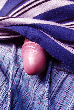 sushicook's dickel in purple