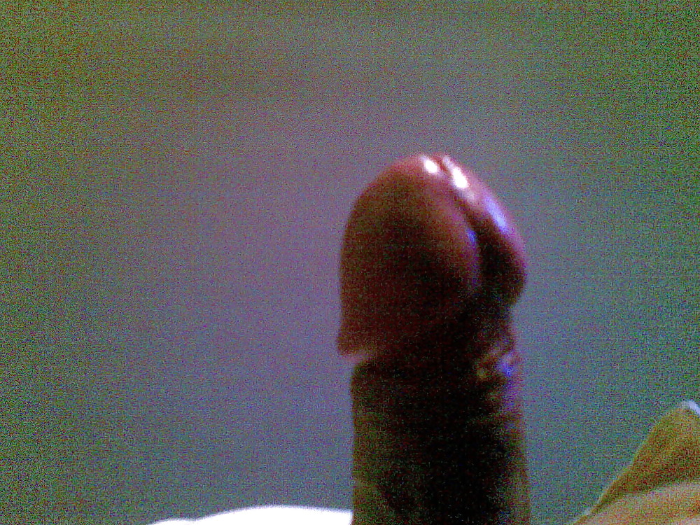 Porn Pics cock