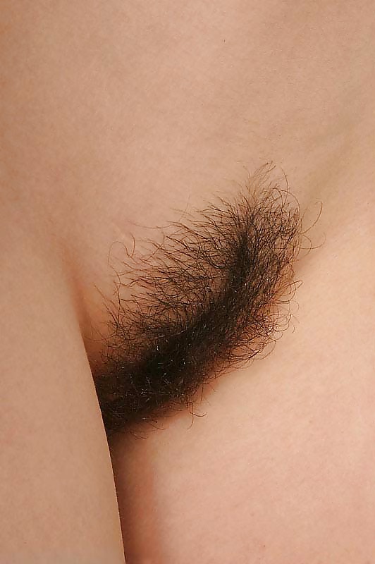 Porn Pics Hairy - Mix beautiful small hairy pussy