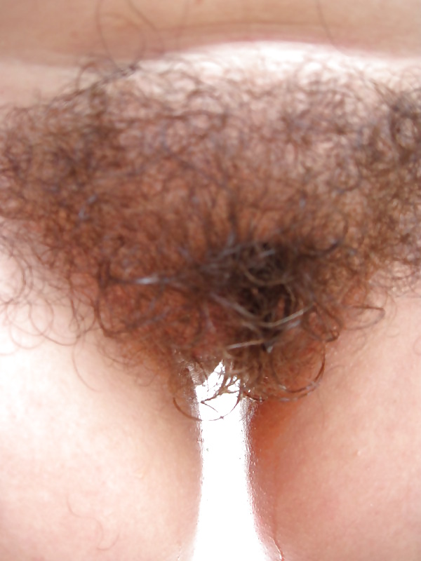 Porn Pics Hairy
