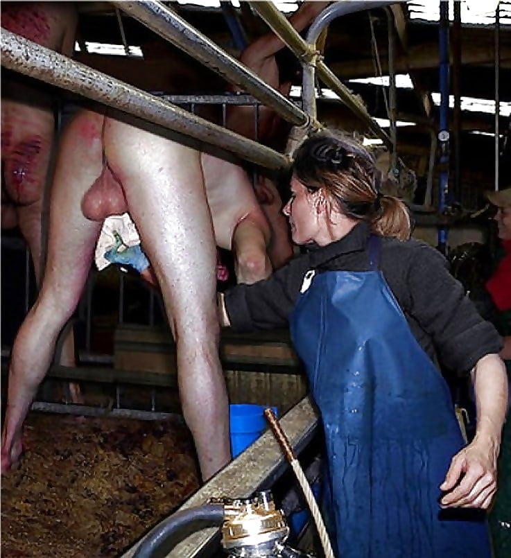 Femdom Male Slave Farm Milking My Xxx Hot Girl