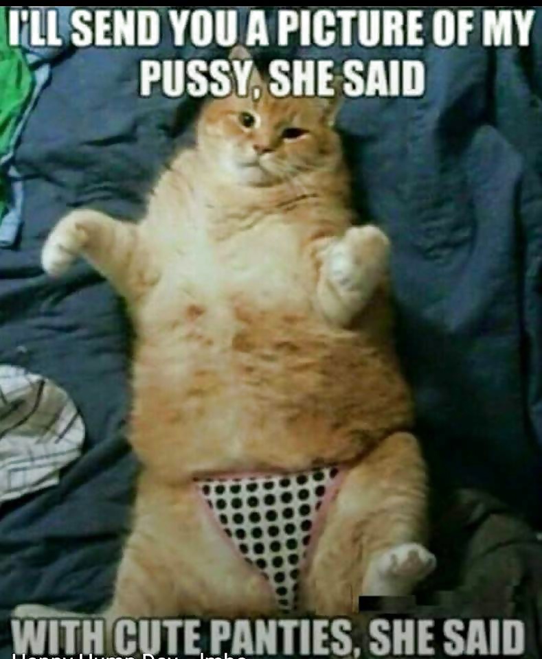 Porn Pics Latest FB funnies