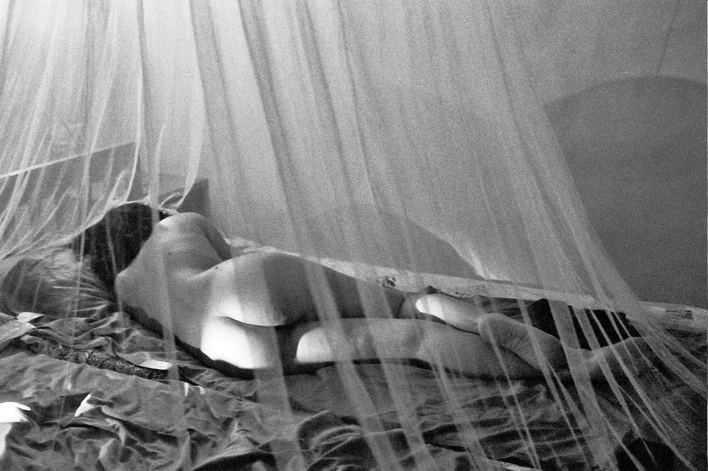 astounding asses 198 photo #324558666