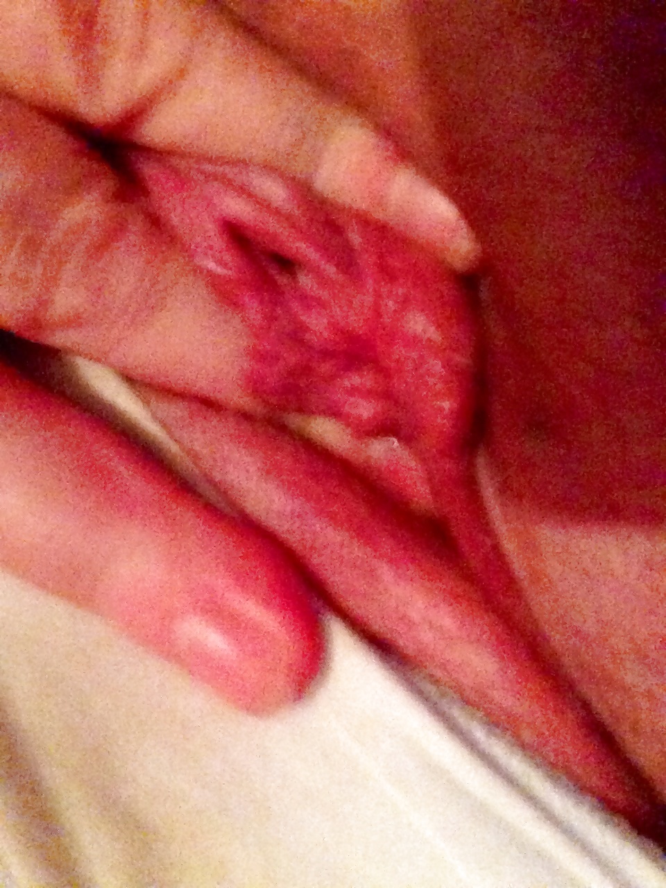 Porn Pics Pussy