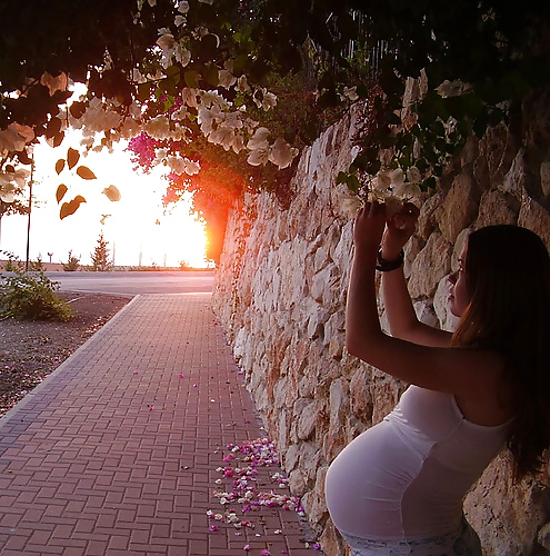 Porn Pics Mix of pregnant bitches