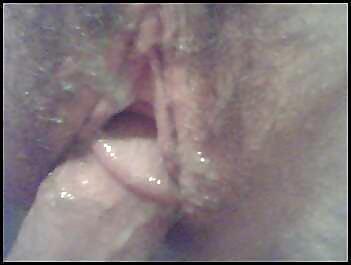 Porn Pics Creamed Pussy