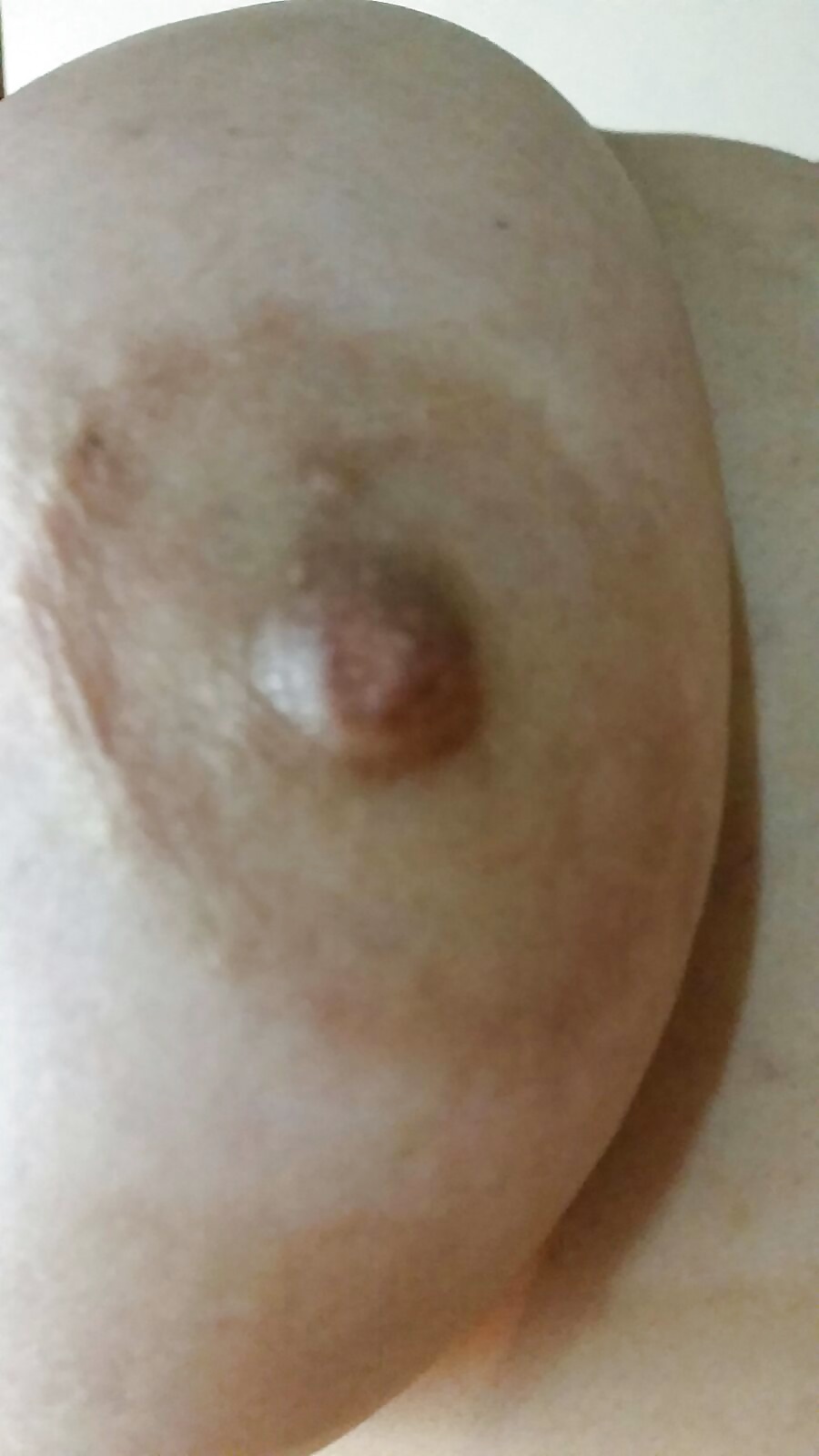 Porn Pics my mature bitch new new