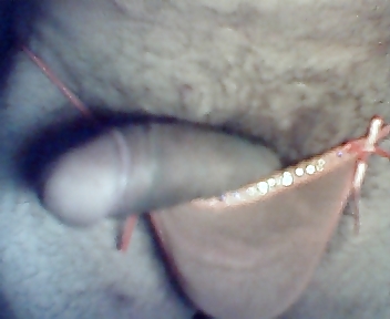 Porn Pics string portokali me stras