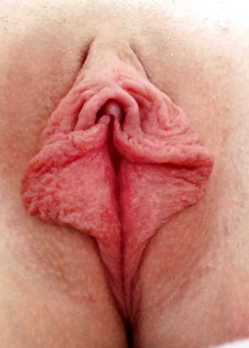 Porn Pics Vaginas 9 (tiny pussies)