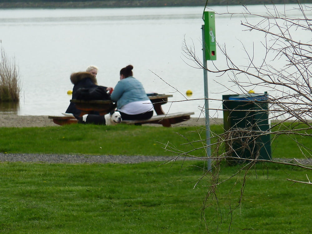 Porn Pics Erkemeder strand Zeewolde 13 april 2016