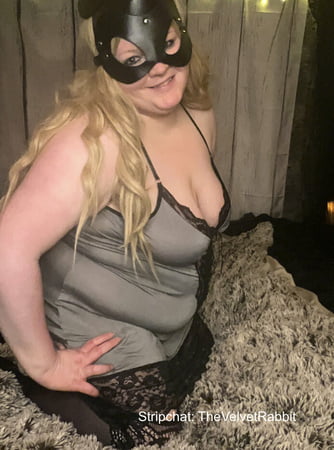 velvet rabbit free photos         