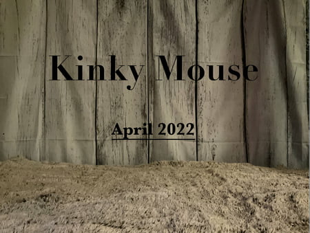 velvet rabbit free photos         