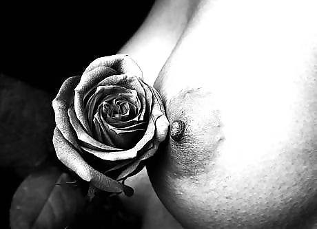 Porn Pics Erotic Art of Roses - Session 4