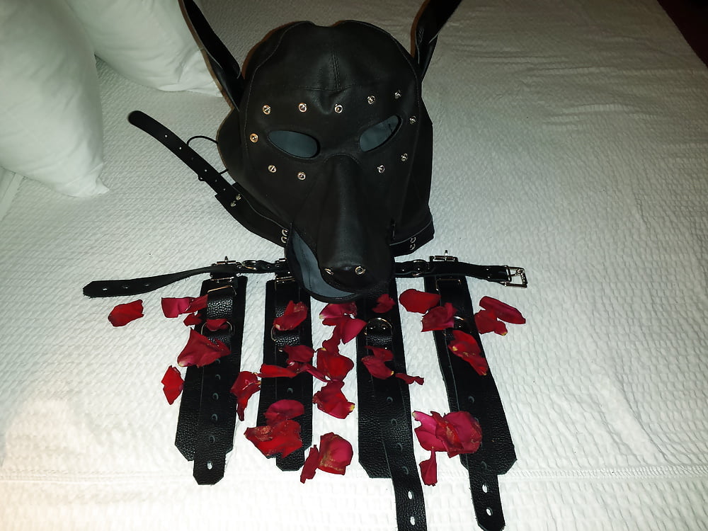 Porn Pics Valentines weekend