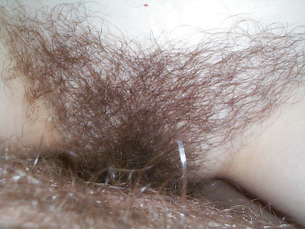 Porn Pics Hairy Pussy Fucked