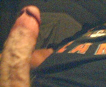 Porn Pics my cock pic