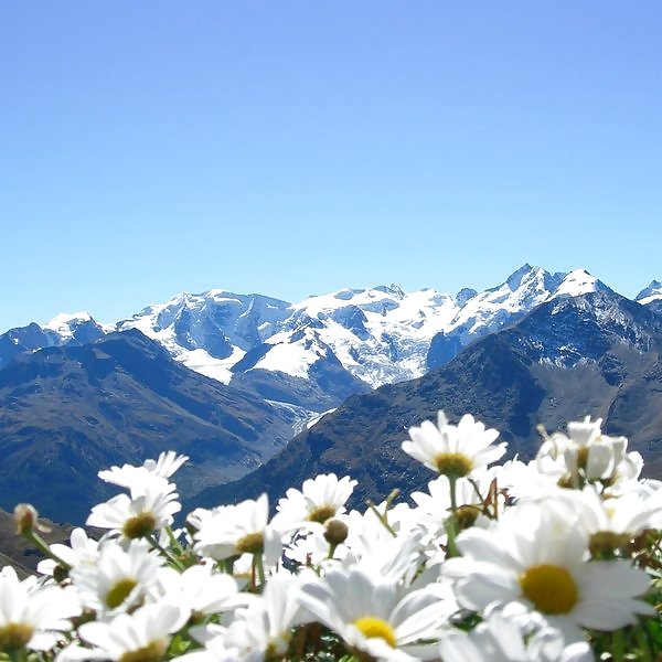 Porn Pics senin icin