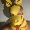 DogPlay Fetish