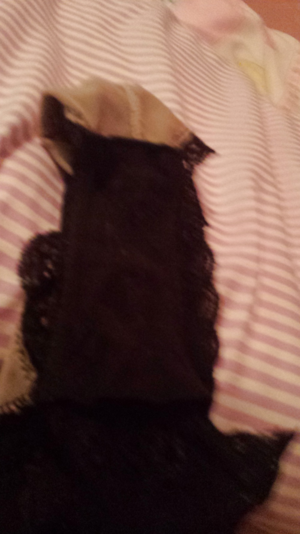 Porn Pics Dirty worn knickers