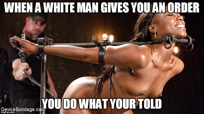 Porn Pics BLACK BITCHES KNOW THEIR PLACE