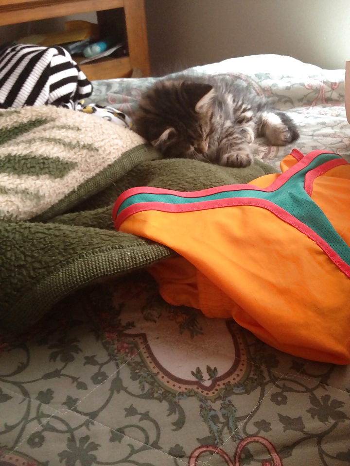 Porn Pics bitches i mess with