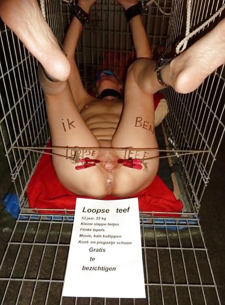 Porn Pics chienne degradee