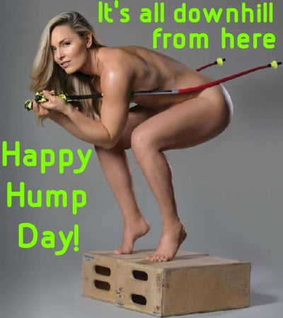 Sexy Hump Day Memes For Her Porn Videos Newest Adult Happy Hump Day Meme Fpornvideos