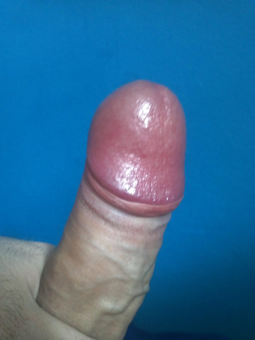 Porn Pics My dick