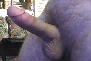 Porn Pics My cock