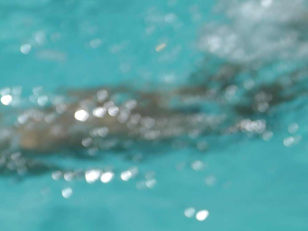 Porn Pics Pool in Dumagette cont...