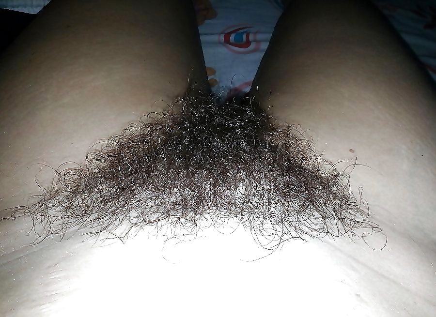 Porn Pics Hairy Pussy Mix 7