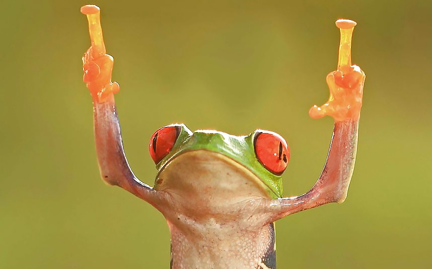 Porn Pics Fuck you XHamster - You suck