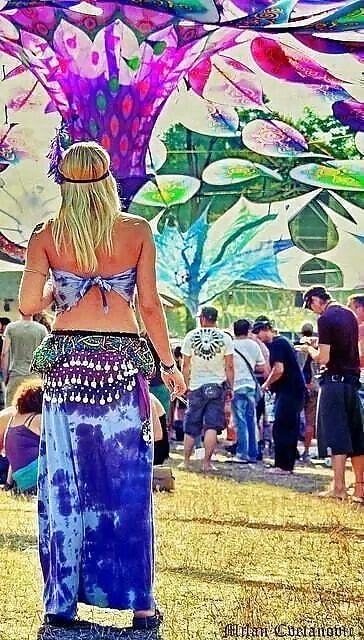 Porn Pics hippie festival whores