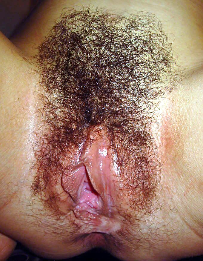 Porn Pics Hairy 16
