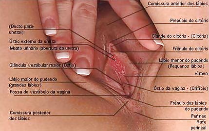 Porn Pics La Vagina de Diana Carolina Fuentes Haro