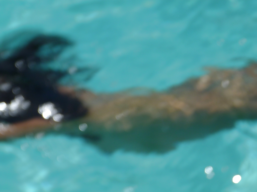 Porn Pics Pool in Dumagette cont...