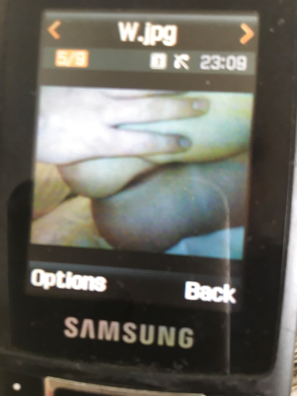 Porn Pics hot young ex gf exposed
