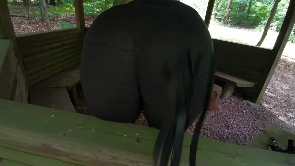Slapping tits and ass in picnic hut - 24 Photos 