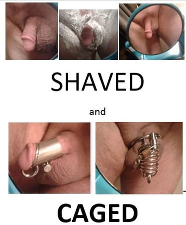 Shaved Cock Captions