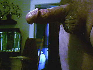 Porn Pics do u like me cock tell me