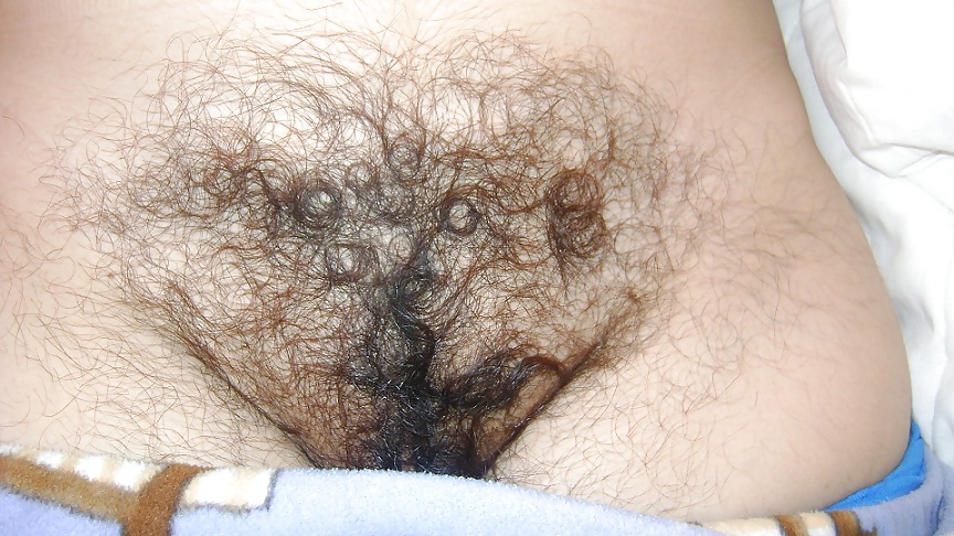 Porn Pics my hairy wife
