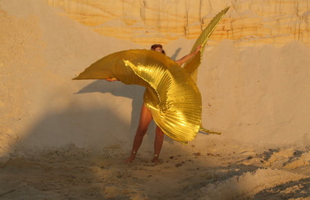 with golden wings on setting sun         