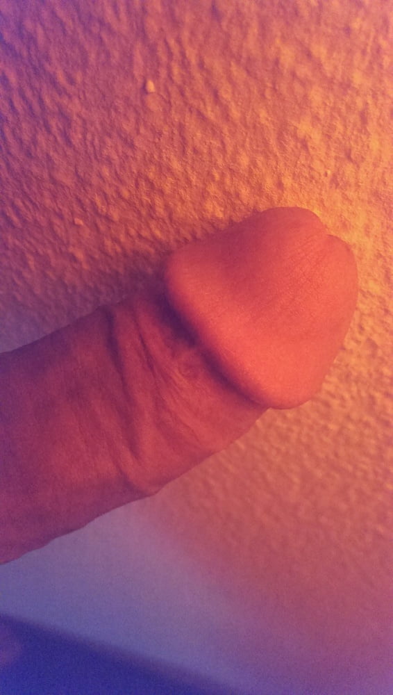 Porn Pics NEUE Bilder vom Schwanr