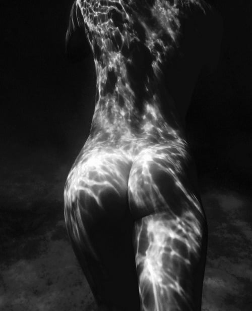 astounding asses 198 photo #324558866