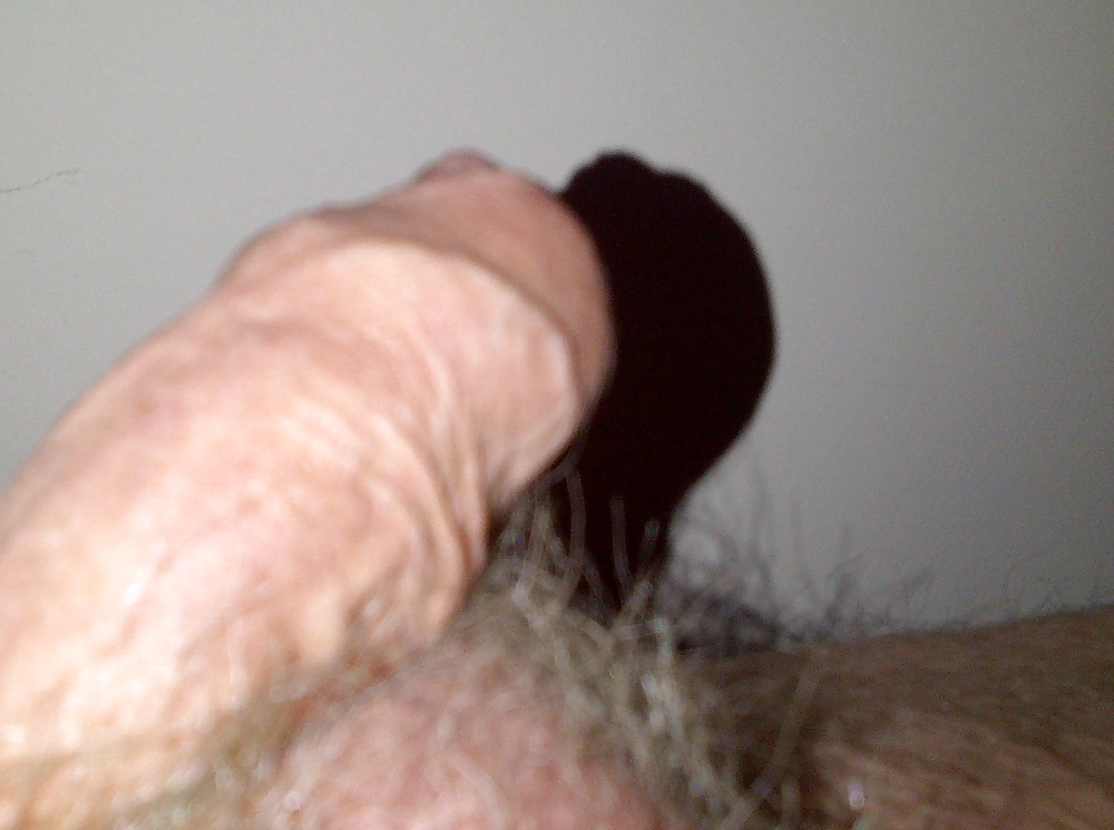 Porn Pics My Penis
