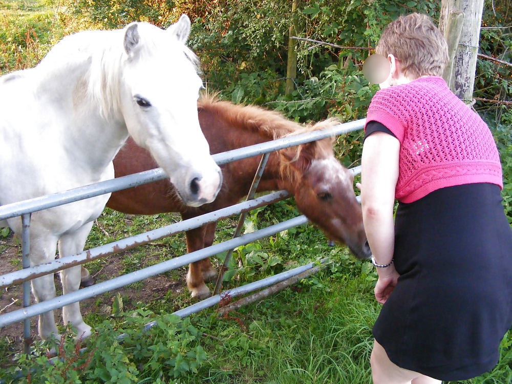 Porn Pics Pony play in Norfolk